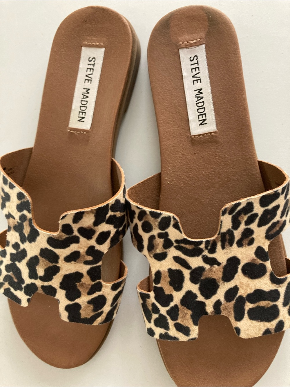 Steve Madden Leopard Slide Sandals in Brown and Black